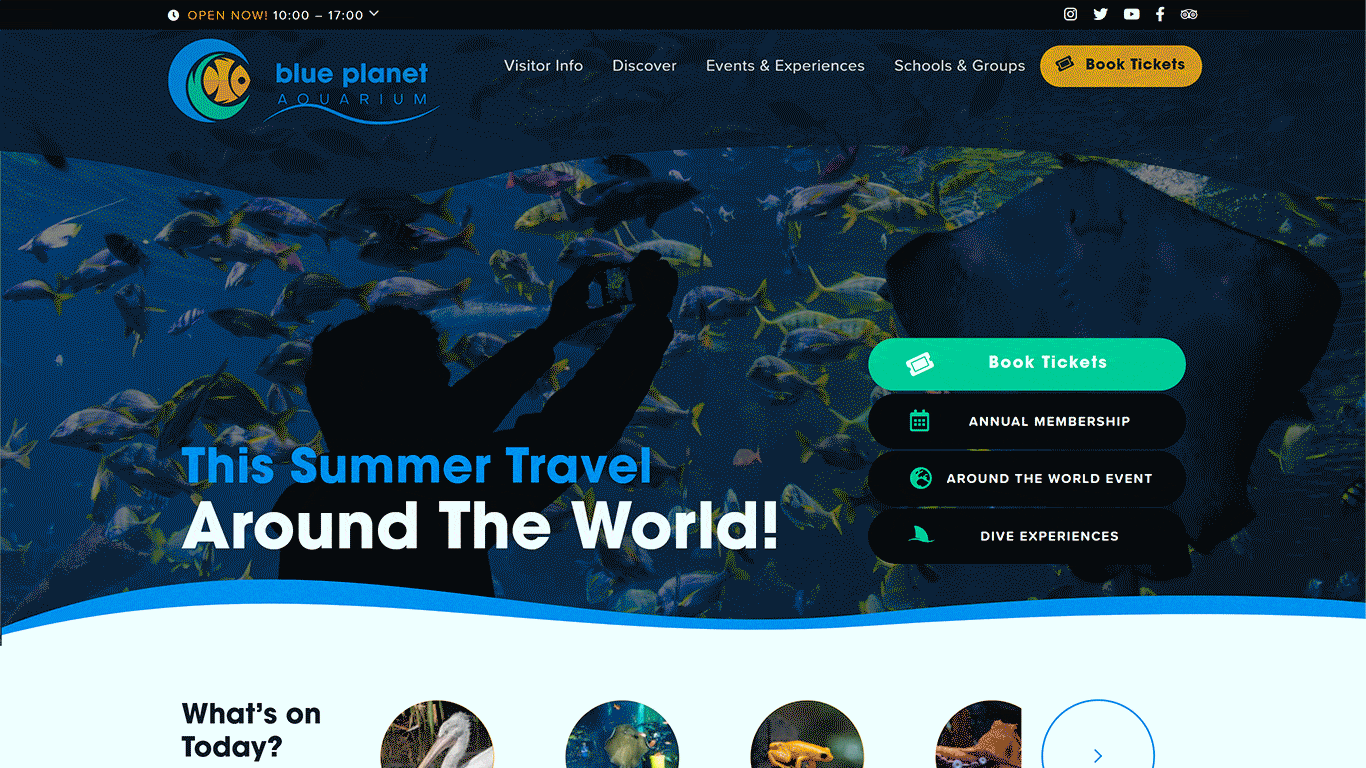 Blue Planet Aquarium - Louise Goodwin Freelance Web Designer