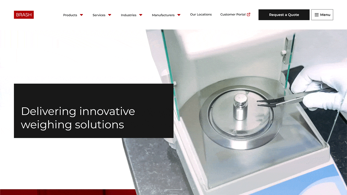 Brash Scales - Louise Goodwin Freelance Web Designer